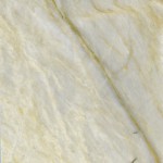 Feathered Oyster quartzite slab featuring a creamy beige background with delicate feather-like veining, ideal for countertops in Warrenville. Feathered Oyster quartzite slab with creamy beige background and delicate feather-like veining from Warrenville.