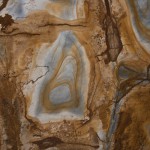 Stonewood quartzite slab featuring warm beige and brown swirls, ideal for countertops in Lisle. Stonewood quartzite slab with warm beige and brown swirls in Lisle.