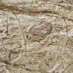 Temptation quartzite slab featuring brown and beige tones with white veining, ideal for countertops in Lombard. Temptation quartzite slab with brown and beige tones and white veining in Lombard.