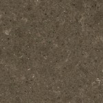 Warm beige quartz with peppery speckles reminiscent of wild rice. Warm beige quartz surface with peppery speckles, reminiscent of wild rice grains.