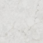 Soft grey quartz with light veining and mottled texture. Soft grey quartz surface with light grey veining and a subtle mottled pattern.