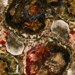 Albero quartz countertop slab with fossilized wood cross sections in earthy brown, green and red tones, ideal for countertops in Oak Park. Albero quartz countertop slab featuring fossilized wood cross sections in earthy brown, green and red tones in Oak Park.