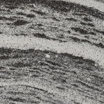 Roxwell granite slab featuring bold horizontal black and grey stripes against a white background in Evanston Roxwell granite slab with bold horizontal black and grey stripes against a white background in Evanston